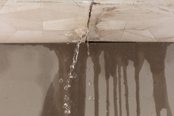 Professional Water Damage Inspection technician working in Summerland Key, FL